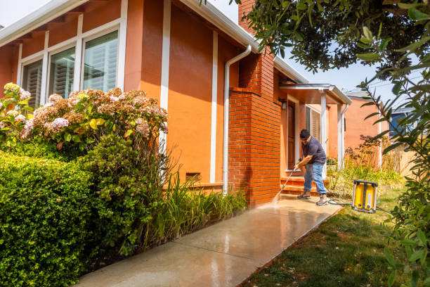 Best Affordable Pressure Washing  in Salisbury, MD