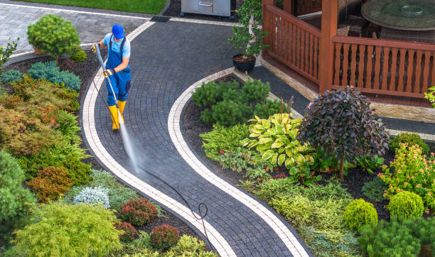 Best Roof Pressure Washing  in Salisbury, MD